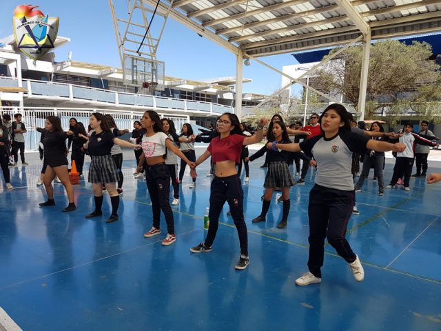 DIA_ACTIV_FISICA_2019