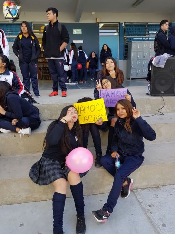 DIA_ACTIV_FISICA_2019