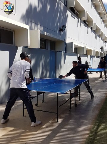 DIA_ACTIV_FISICA_2019