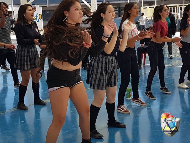 DIA_ACTIV_FISICA_2019