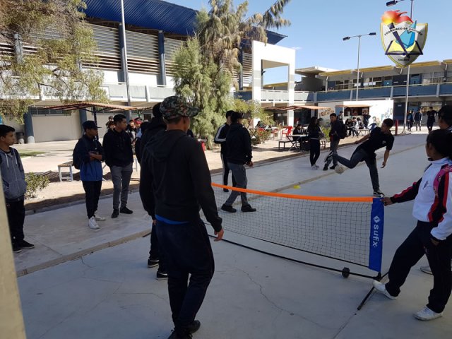 DIA_ACTIV_FISICA_2019