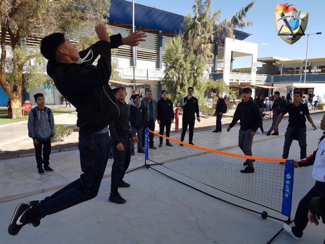 DIA_ACTIV_FISICA_2019