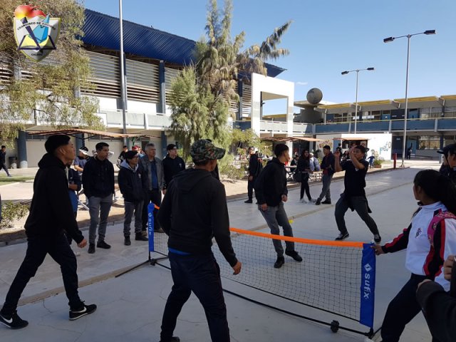 DIA_ACTIV_FISICA_2019